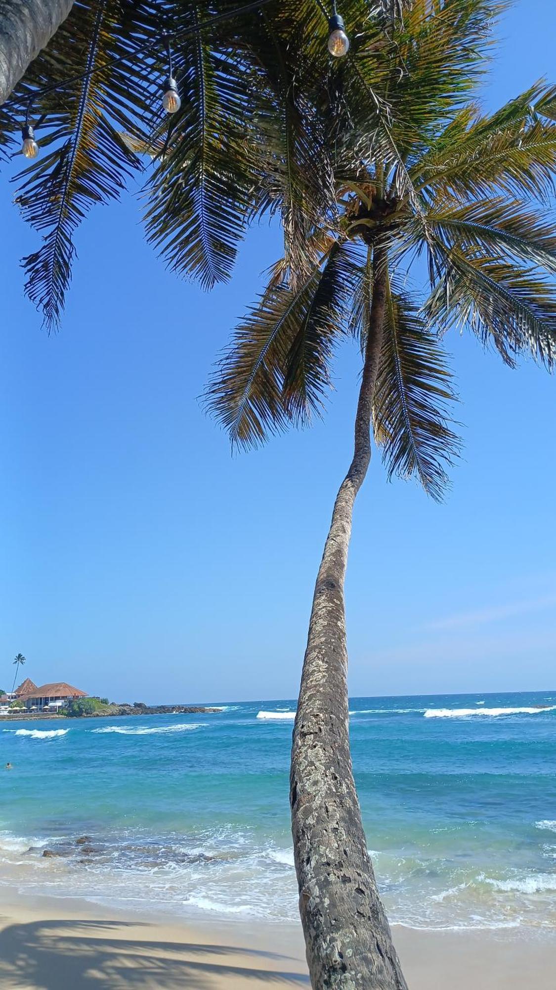 Turtle Beach House Batigama Exterior photo